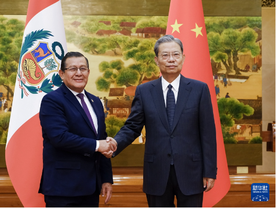 赵乐际同秘鲁国会主席萨卢安纳举行会谈 赵乐际同秘鲁国会主席萨卢安纳举行会谈