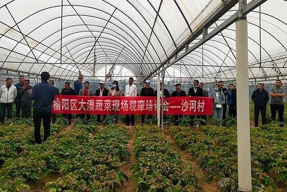 TIM截图20200512141922